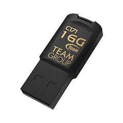 Team Group C171 16GB USB 2.0 цена и информация | USB накопители | kaup24.ee