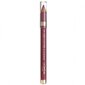 Huule kontuurpliiats L'Oreal Lip Liner Couture By Color Richie 302 Bois De Rose, 1 tk цена и информация | Huulepulgad, -läiked, -palsamid, vaseliin | kaup24.ee