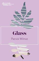 Glass 10th Anniversary ed. цена и информация | Фантастика, фэнтези | kaup24.ee