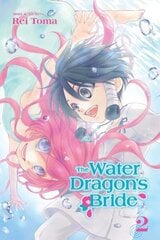 Water Dragon's Bride, Vol. 2, 2 цена и информация | Фантастика, фэнтези | kaup24.ee