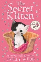 Secret Kitten цена и информация | Книги для подростков и молодежи | kaup24.ee