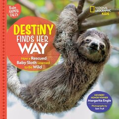 Destiny Finds Her Way hind ja info | Noortekirjandus | kaup24.ee