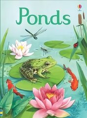 Ponds цена и информация | Книги для подростков и молодежи | kaup24.ee