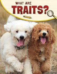 What Are Traits? hind ja info | Noortekirjandus | kaup24.ee