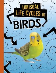 Unusual Life Cycles of Birds hind ja info | Noortekirjandus | kaup24.ee