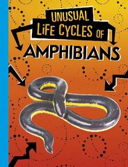 Unusual Life Cycles of Amphibians цена и информация | Книги для подростков и молодежи | kaup24.ee