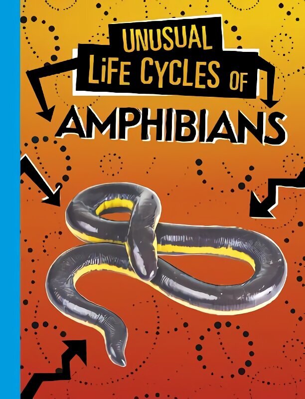 Unusual Life Cycles of Amphibians hind ja info | Noortekirjandus | kaup24.ee