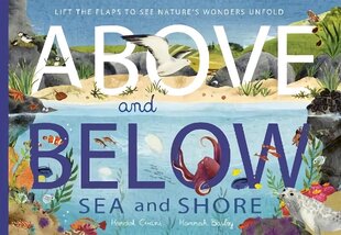 Above and Below: Sea and Shore: Lift the flaps to see nature's wonders unfold цена и информация | Книги для подростков и молодежи | kaup24.ee