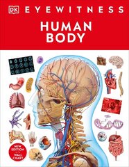 Human Body цена и информация | Книги для подростков и молодежи | kaup24.ee