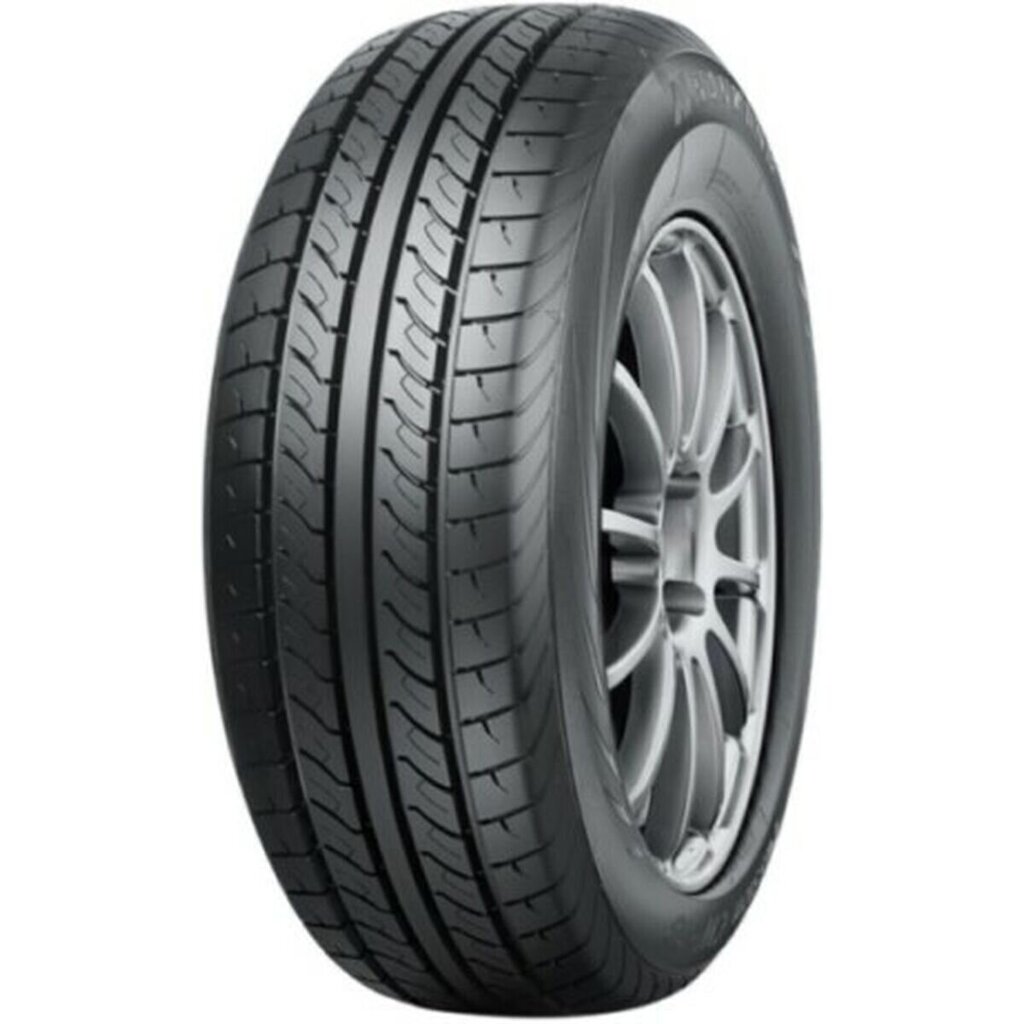 Kaubiku rehv Nankang CW-20 Passio 195/65R16C цена и информация | Suverehvid | kaup24.ee