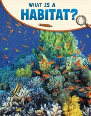 What Is a Habitat? цена и информация | Книги для подростков и молодежи | kaup24.ee