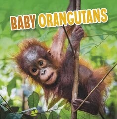 Baby Orangutans цена и информация | Книги для подростков и молодежи | kaup24.ee