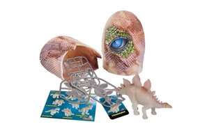 Набор для мальчиков Simba „Яйцо динозавра“ 1 шт. цена и информация | Развивающий мелкую моторику - кинетический песок KeyCraft NV215 (80 г) детям от 3+ лет, бежевый | kaup24.ee