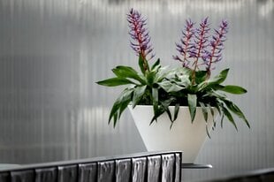 Nicoli pott Chiron 36cm hind ja info | Dekoratiivsed lillepotid | kaup24.ee