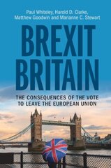 Brexit Britain: The Consequences of the Vote to Leave the European Union цена и информация | Книги по социальным наукам | kaup24.ee
