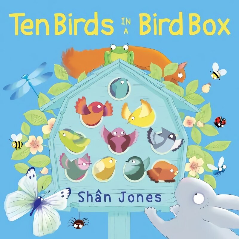 Ten Birds in a Bird Box цена и информация | Väikelaste raamatud | kaup24.ee