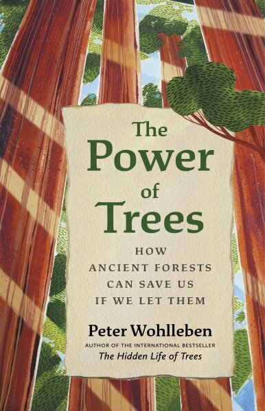 Power of Trees: How Ancient Forests Can Save Us if We Let Them hind ja info | Tervislik eluviis ja toitumine | kaup24.ee