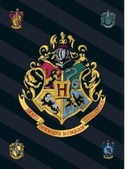 Pleed Harry Potter 100x140cm цена и информация | Покрывала, пледы | kaup24.ee