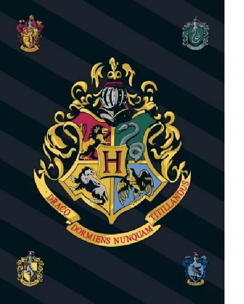 Pleed Harry Potter 100x140cm цена и информация | Voodikatted, pleedid | kaup24.ee