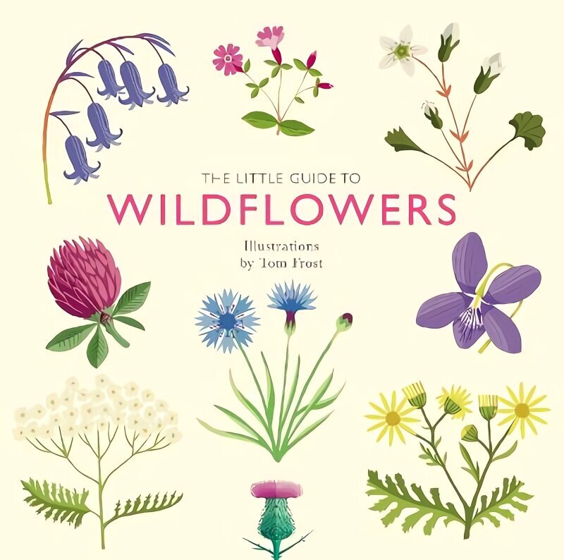 Little Guide to Wildflowers hind ja info | Tervislik eluviis ja toitumine | kaup24.ee