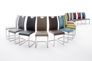 4 tooli komplekt Paulo, sinine hind ja info | Söögitoolid, baaritoolid | kaup24.ee