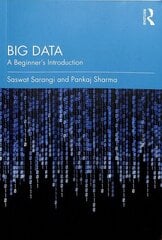 Big Data: A Beginner's Introduction цена и информация | Книги по экономике | kaup24.ee