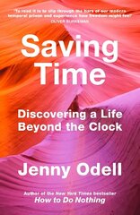 Saving Time: Discovering a Life Beyond the Clock (The New York Times bestseller) hind ja info | Majandusalased raamatud | kaup24.ee