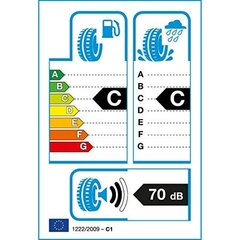 Auto rehv Tracmax X-Privilo TX2 185/60HR15 цена и информация | Летняя резина | kaup24.ee