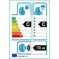 Auto rehv Tracmax X-Privilo TX2 165/65TR14 цена и информация | Летняя резина | kaup24.ee