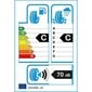 Auto rehv Tracmax X-Privilo TX2 165/65TR14 hind ja info | Suverehvid | kaup24.ee