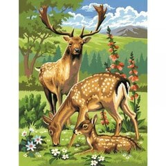 Maalimine numbrite järgi KSG Woodland Animals, 30 x 23 cm, 2 tk. hind ja info | Maalid numbri järgi | kaup24.ee