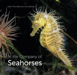 In the Company of Seahorses цена и информация | Книги о питании и здоровом образе жизни | kaup24.ee