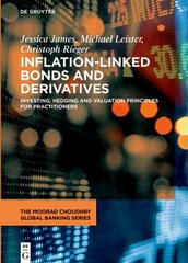 Inflation-Linked Bonds and Derivatives: Investing, hedging and valuation principles for practitioners цена и информация | Книги по экономике | kaup24.ee