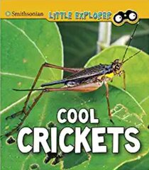 Cool Crickets цена и информация | Книги для подростков и молодежи | kaup24.ee