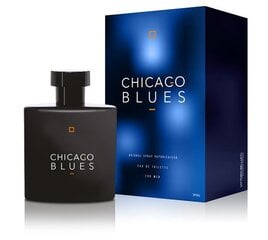 Tualettvesi Vittorio Bellucci Chicago Blues EDT meestele 100 ml цена и информация | Мужские духи | kaup24.ee