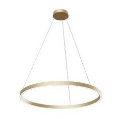Pendant Lamp Rim цена и информация | Потолочные светильники | kaup24.ee