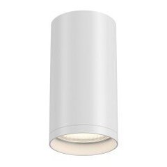 Ceiling Lamp FOCUS S цена и информация | Потолочные светильники | kaup24.ee