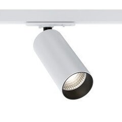 Maytoni Tehnilised valgustusseadmed Focus LED TR021-1-12W4K Valge hind ja info | Siinivalgustid ja siinid | kaup24.ee