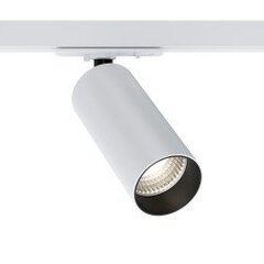 Maytoni Tehnilised valgustusseadmed Focus LED TR021-1-12W3K Valge hind ja info | Siinivalgustid ja siinid | kaup24.ee