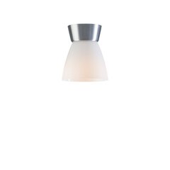 Настольная лампа Belid Настольная лампа металлическая алюминий/опаловое стекло 223711 цена и информация | Потолочные светильники | kaup24.ee