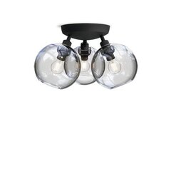 Настольная лампа Belid металл/класс, черный, текстура/прозрачное стекло, 20108618 цена и информация | Потолочные светильники | kaup24.ee