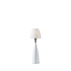 Настольная лампа Belid Anemon 4005389 цена и информация | Настольные лампы | kaup24.ee