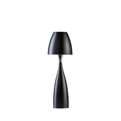 Настольная лампа Belid Anemon 410507 цена и информация | Настольные лампы | kaup24.ee