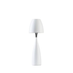 Настольная лампа Belid Настольная лампа металл плоский белый 410536 цена и информация | Настольная лампа | kaup24.ee