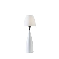 Настольная лампа Belid Anemon 4105389 цена и информация | Настольная лампа | kaup24.ee