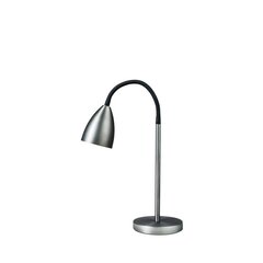 Belid настольная лампа металлик оксид серый 4172155 цена и информация | Настольная лампа | kaup24.ee