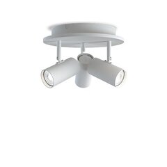 Belid Spotlights Metal White struktuur 6832068 hind ja info | Süvistatavad ja LED valgustid | kaup24.ee