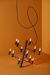 Люстра Herstal цена и информация | Потолочный светильник, 38 x 38 x 24 см | kaup24.ee