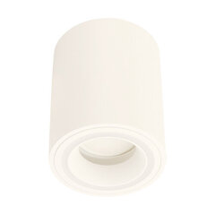 Белый потолочный светильник STRÜHM, 100x80x80 мм цена и информация | Потолочные светильники | kaup24.ee