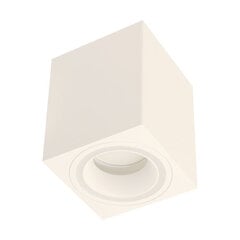 Белый потолочный светильник STRÜHM, 100x80x80 мм цена и информация | Потолочные светильники | kaup24.ee